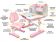 BD-28_PN_path BD-28_PN_path