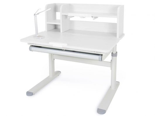 TH-308_max_wg_g_gift
